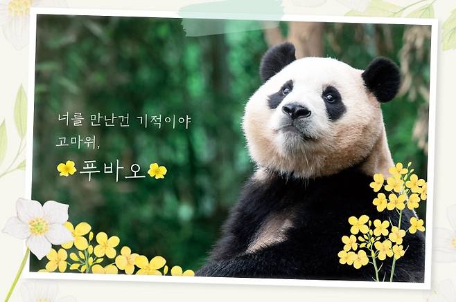 “봄이라 그런가. 왜 이리 싱숭생숭하지?”