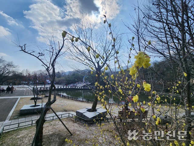 23일 서울 강북구 수유동에 있는 국립 4‧19민주묘지 공원에 봄꽃이 피어 있다.