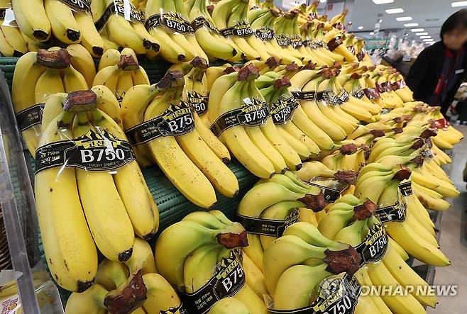 농식품부, aT직수입 오렌지·바나나 공급 (서울=연합뉴스) 이재희 기자 = 21일 농림축산식품부는 가격이 폭등한 과일 수요를 대체하기 위해 한국농수산식품유통공사(aT)를 통해 직수입한 오렌지, 바나나 등 수입 과일을 이날부터 대형마트에 공급한다고 밝혔다. 이달 중 바나나 1천400여t(톤), 오렌지 600여t 등 수입 과일 2천t 이상을 시장에 공급한다. 사진은 이날 서울 한 대형마트에 진열된 바나나. 2024.3.21 scape@yna.co.kr