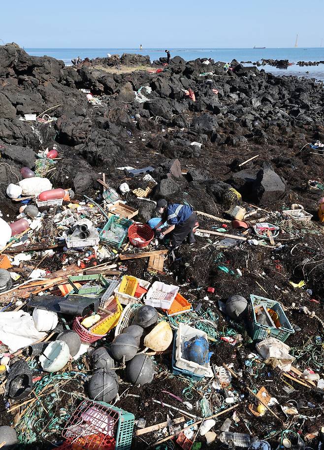 제주 비양도에서 디프다 제주 회원들과 시민들이 쓰레기를 수거하고 있다. 박종식 기자
