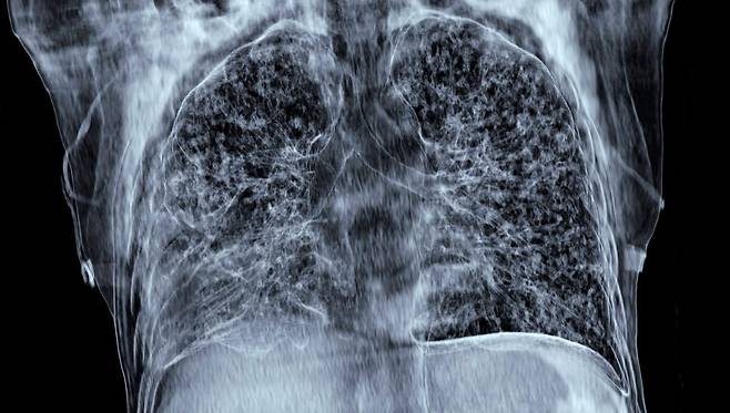 클립아트코리아제공