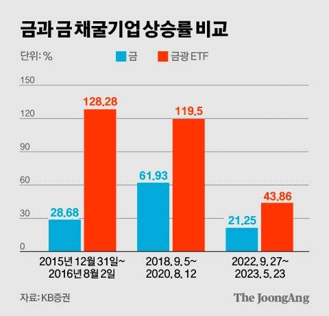 김영희 디자이너