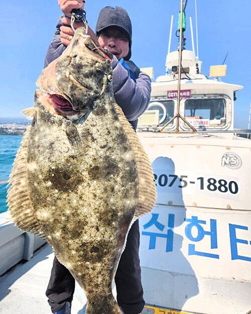 서귀포 범섬 바다에서 낚인 몸길이 1ｍ 대물 광어. 장영준씨 제공
