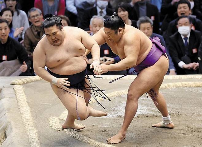 얼마만의 훈풍인가 - 지난 24일 일본 오사카 부립 체육회관에서 열린 스모 프로리그 오즈모 봄 대회 마지막 경기에서 올해 처음 마쿠노우치(1부 리그)에 진출한 신인 다케루후지(오른쪽)가 상대 선수를 경기장 밖으로 밀어내고 있다. /AFP 연합뉴스