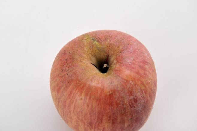 사과 꼭지 부근의 흰색 가루는 먼지나 농약 잔여물이 아니라 ‘칼슘제’ 잔여물이다. 인체에 유해하지 않다./사진=게티이미지뱅크