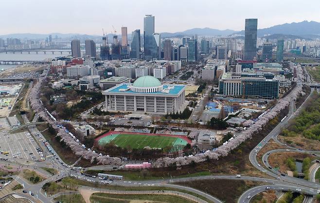서울 여의도 국회의사당 전경. 의사당 뒤로 여의도 빌딩숲이 보이고, 의사당로 일대에 벚꽃이 만개해 있다 . /조선일보DB