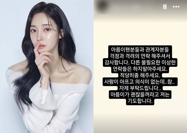 그룹 티아라 출신 아름(왼쪽)과 재혼을 약속한 남자친구 서동훈 씨가 27일 자신의 인스타그램에 올린 게시물(오른쪽)./사진=아름, 서동훈 인스타그램