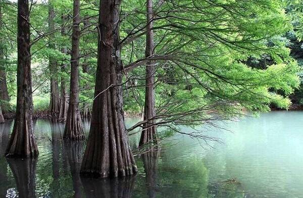 일본 사진 명소 / 온라인 커뮤니티