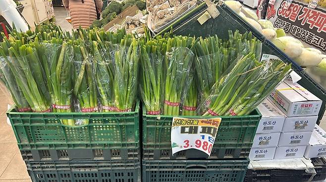 한 지역 마트의 대파 판매 코너/사진=김아름 기자 armijjang@
