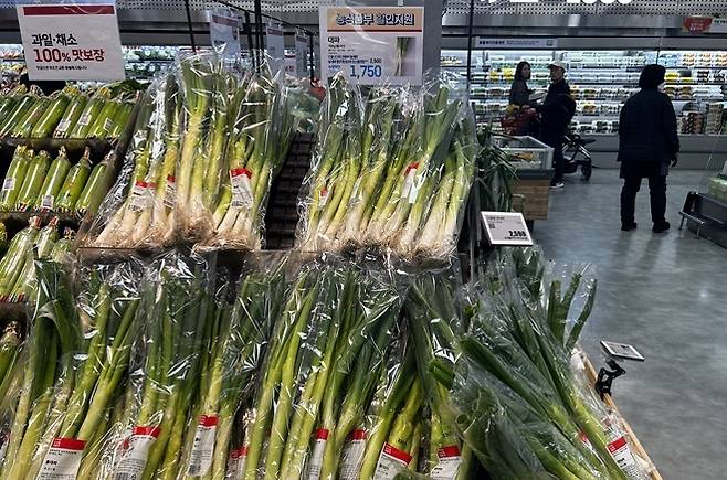 롯데마트의 대파 판매 코너/사진=김아름 기자 armijjang@