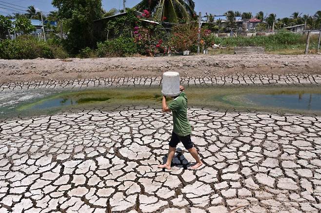 19일(현지시간) 베트남 남부 벤째에서 한 남성이 플라스틱 양동이를 들고 가뭄으로 바닥이 갈라진 연못을 걸어가고 있다. 베트남 곡창지대인 메콩강 삼각주 지역에는 한 달째 극심한 가뭄으로 비가 거의 내리지 않고 있다.(사진=AFP)