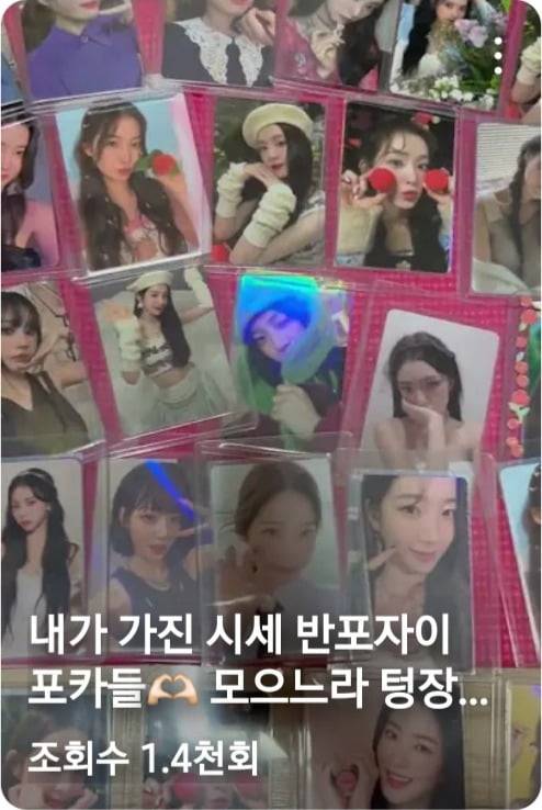 반포자이 포카라며 인기 포카를 자랑하는 영상들. 온라인 상에서는 "용돈으로 반포자이 포카를 샀다"는 등 10대로 추정되는 이의 글도 쉽게 확인할 수 있었다. /사진=유튜브 캡처