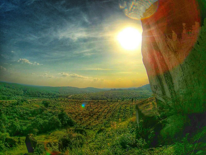 팡칼란 번 / 사진=FLICKR