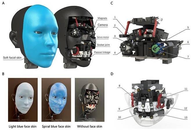 표정으로 감정 표현하는 얼굴 로봇 이모(Emo) 구조 [Yuhang Hu 제공. 재판매 및 DB 금지]