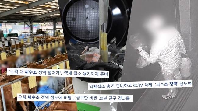 SBS ‘궁금한 이야기 Y’