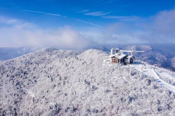 강원 평창군 대관령면 용평스키장인 HJ매그놀리아용평호텔앤리조트(모나용평)는 최근 내린 폭설에 30일과 31일 이틀간 스키장을 재개장하기로 했다. [사진 모나용평]