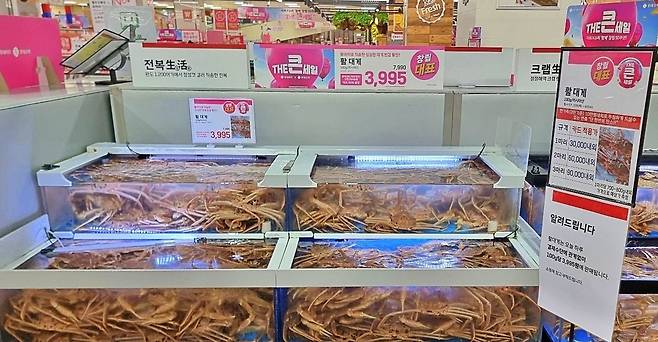 롯데마트 제타플렉스 서울 잠실점 수산코너 대게. /롯데쇼핑