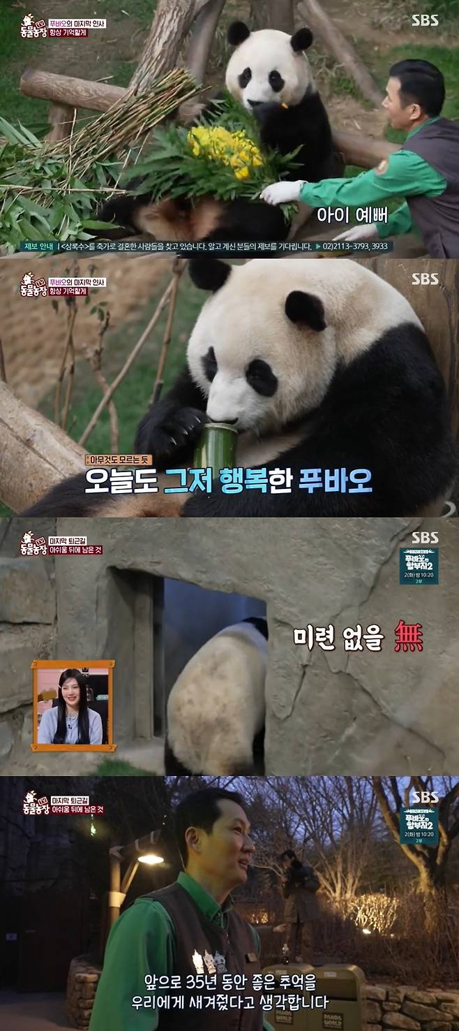 SBS ‘TV 동물농장’ 캡처