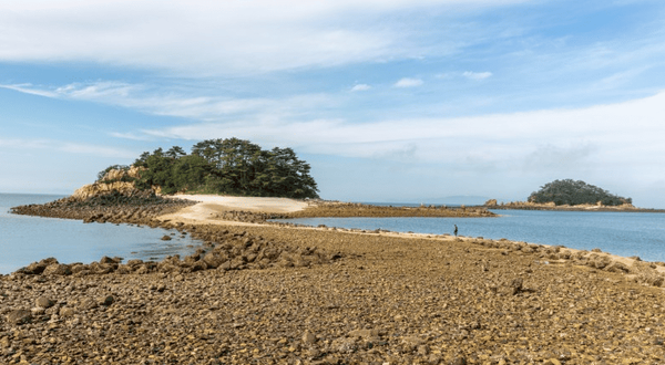 사진=온라인 커뮤니티