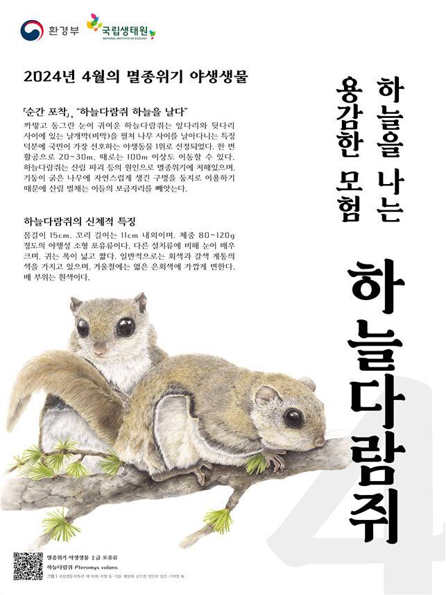 1일 환경부는 이번달부터 매달 ‘이달의 멸종위기 야생생물’을 선정해 소개한다고 밝혔다. 환경부 누리집 갈무리
