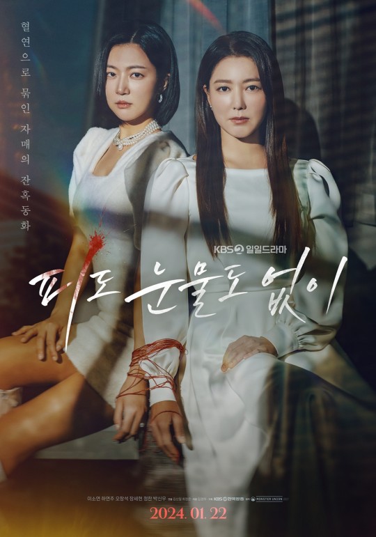 ▲ '피도 눈물도 없이' 포스터. 제공| KBS2 '피도 눈물도 없이'