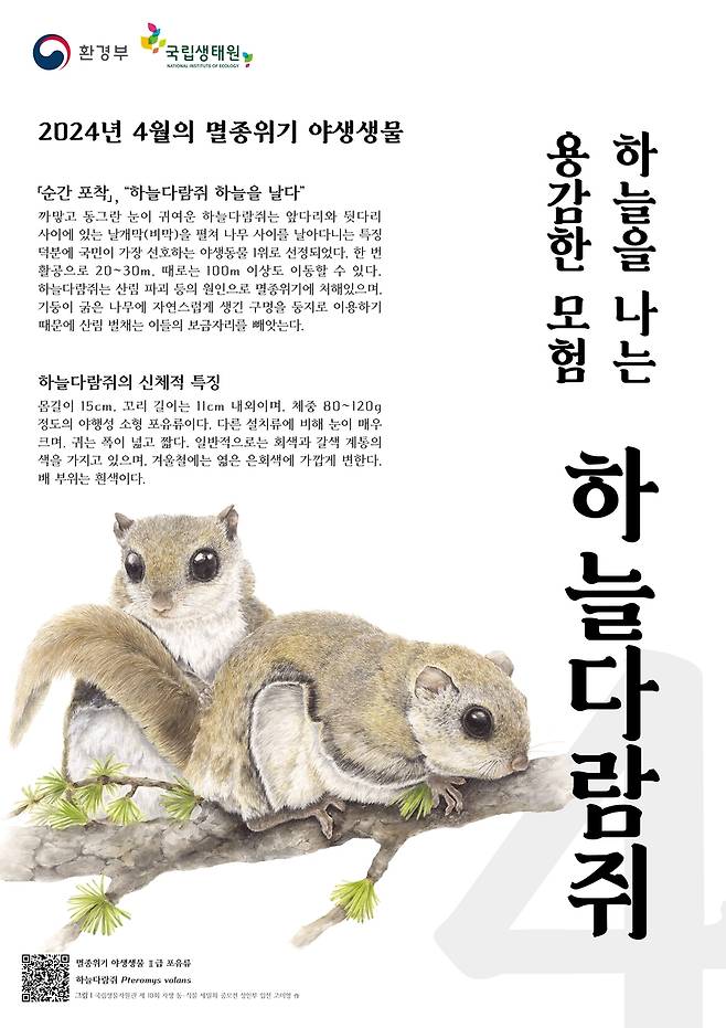 첫 '이달의 멸종위기 야생생물'에 선정된 하늘다람쥐을 소개하는 포스터. [환경부 제공. 재판매 및 DB 금지]