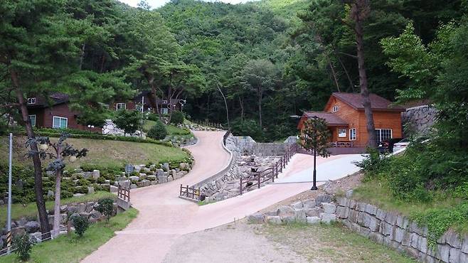 전남 순천시는 순천자연휴양림<사진>에서 오는 5월부터 6월까지 반려견 동반 전용 객실을 시범 운영한 후 7월부터 정상 운영할 계획이라고 2일 밝혔다. 순천시 제공