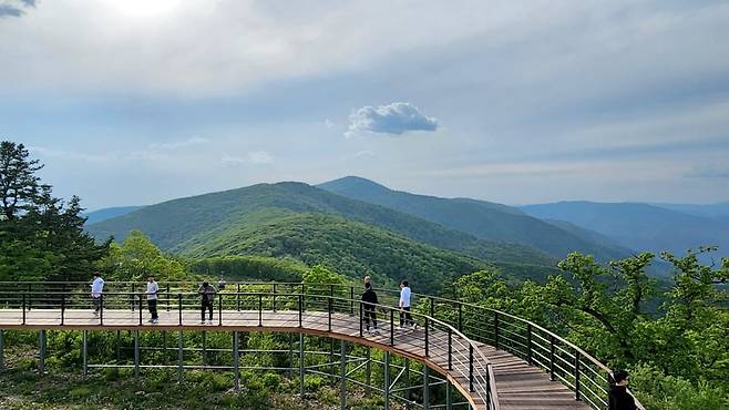 2023년 임직원_가리왕산 명상. 아주그룹
