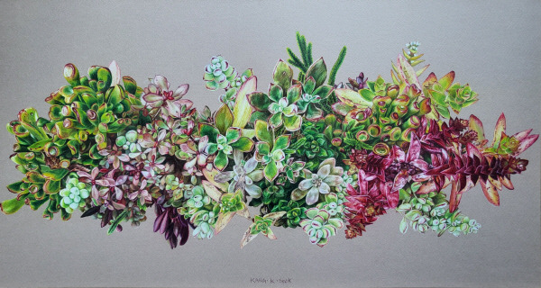 강경숙 작가의 색연필 파스텔화 초대전이 열린다. 작품명  ‘식물의 속삭임’(651x350mm)