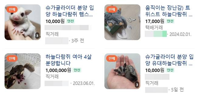 [네이버쇼핑 캡처]