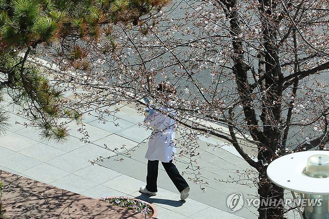 봄꽃이 피어도 의정갈등은 계속 (서울=연합뉴스) 서대연 기자 = 의대 정원 증원을 둘러싼 의정갈등이 이어지고 있는 가운데 31일 서울 시내 한 대형병원에서 한 의료 관계자가 꽃나무 아래를 지나고 있다. 2024.3.31 dwise@yna.co.kr