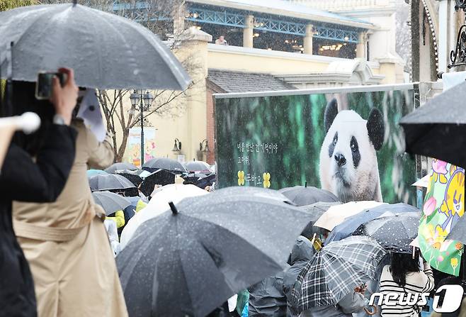 중국으로 가는 자이언트 판다 '푸바오'를 실은 특수차량이 3일 오전 경기 용인시 에버랜드에서 팬들의 배웅을 받으며 이동하고 있다. 2024.4.3/뉴스1 ⓒ News1 사진공동취재단
