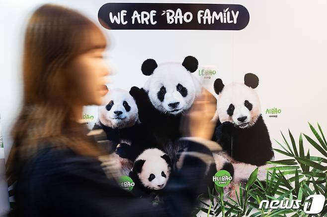 9일 여의도 더현대 서울에 문을 연 푸바오 팝업스토어에 한 고객이 들어서고 있다. 에버랜드가 처음으로 운영하는 판다 굿즈 관련 팝업스토어인 '푸바오 팝업스토어'는 9일부터 22일까지 2주간 운영된다. 2023.11.9/뉴스1 ⓒ News1 유승관 기자