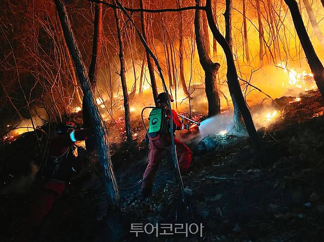 2022년 울진 화염 앞의 공중진화대원/사진-한국산불방지기술협회