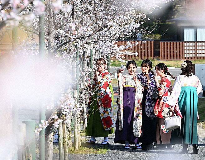 2021년 3월 24일 일본 후쿠오카 규슈대 학생들이 벚꽃이 핀 거리에서 졸업 기념 사진을 찍고 있다./마이니치신문
