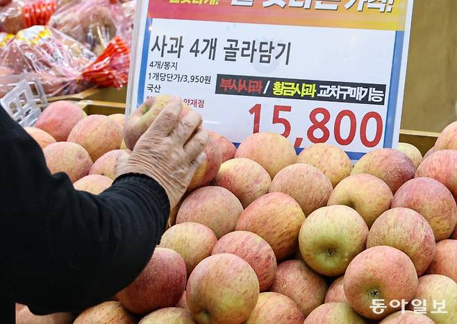 2일 오후 서울 서초구 하나로마트 양재점에서 부사 사과가 4개 1만5800원에 판매되고 있다. 지난해 생산량 감소의 여파가 이어지면서 지난달 사과 가격은 1년 전보다 88% 넘게 뛰었다.