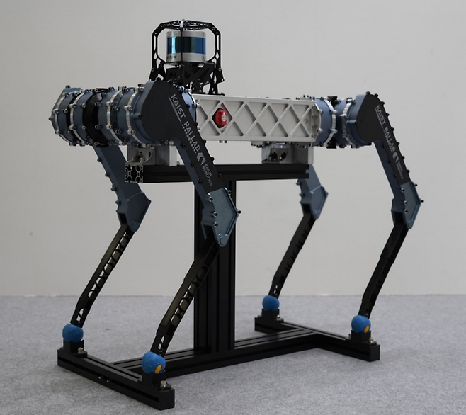 라이온로보틱스의 사족 보행 로봇 제품 라이보2(사진=라이온로보틱스)