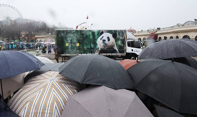 시민들이 중국으로 떠나는 푸바오를 싣고 있는 무진동 특수 차량을 보며 배웅하고 있다. 사진공동취재단
