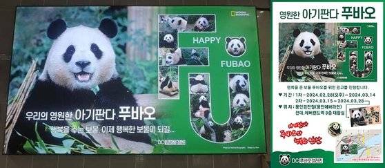 푸바오의 팬들이 지난달 용인 경전철 에버랜드역에 게시한 푸바오 광고. 푸바오 갤러리 제공