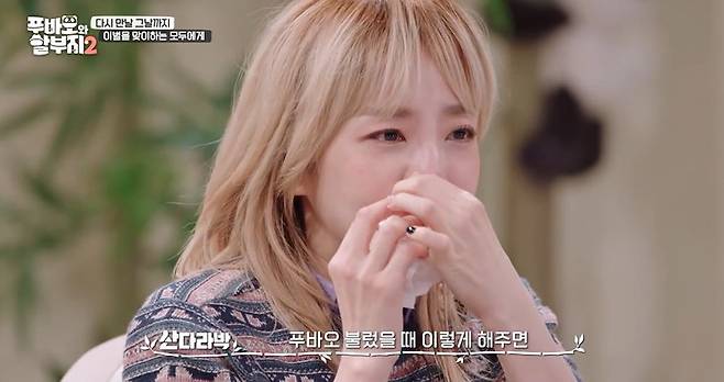 SBS ‘푸바오와 할부지2’