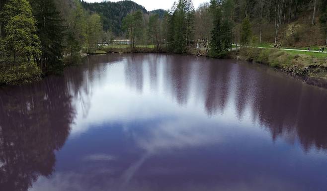 3일(현지시각) 독일 퓌센 지역 근처의 한 호수가 보라색으로 변했다. /로이터 뉴스1