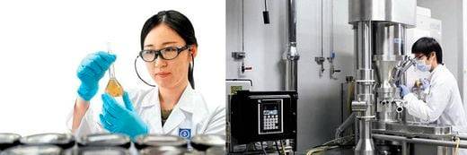 경기도 용인 종근당 효종연구소에서 연구원이 신약 후보 물질의 효능을 실험하기 위해 시료를 만들고 있다(왼쪽). 대웅제약 연구원이 의약품 개발에 몰두하고 있는 모습