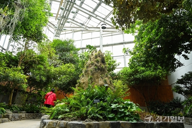 다양한 국내외의 식물이 자라고 있는 부천식물원. 윤원규기자