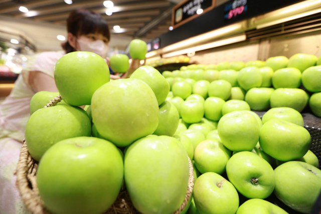 국산 여름 사과 ‘썸머킹’. 썸머킹은 7월 중순부터 출하되며 과즙이 풍부하고 식감이 우수한 것이 특징이다. 연합뉴스