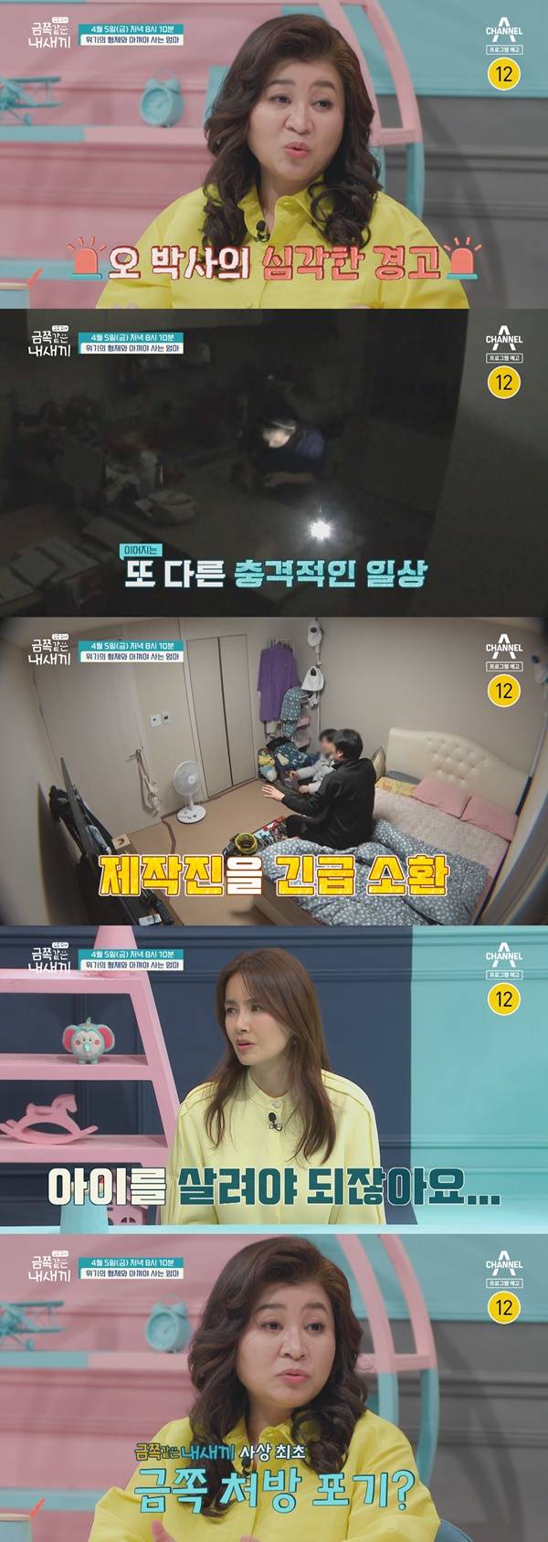 금쪽같은 내새끼 / 사진=채널A