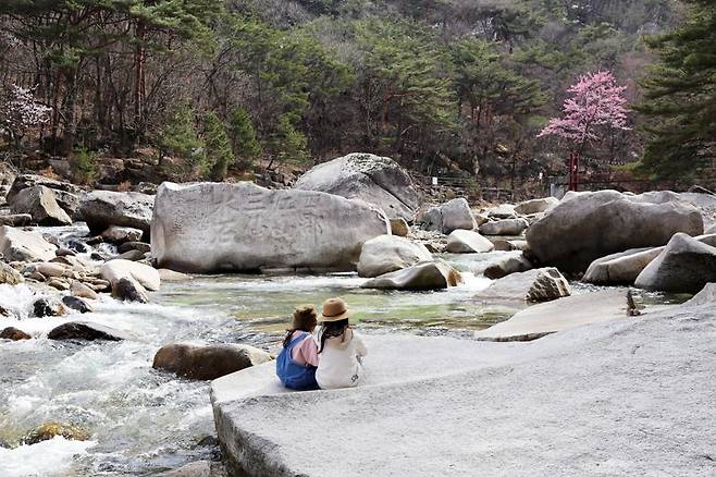 충북 단양 선암골생태유람길의 계곡을 찾은 여행객들. 한국관광공사 제공