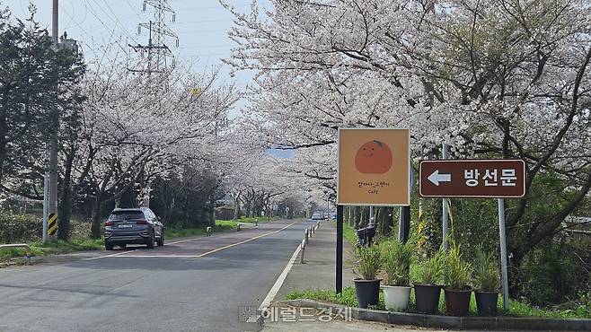제주시를 관통하는 한천 상류 약 6km 지점에 효성이 지극한 나뭇꾼이 신선을 만났다는 전설을 가진 방선문(訪仙門)이 있다.