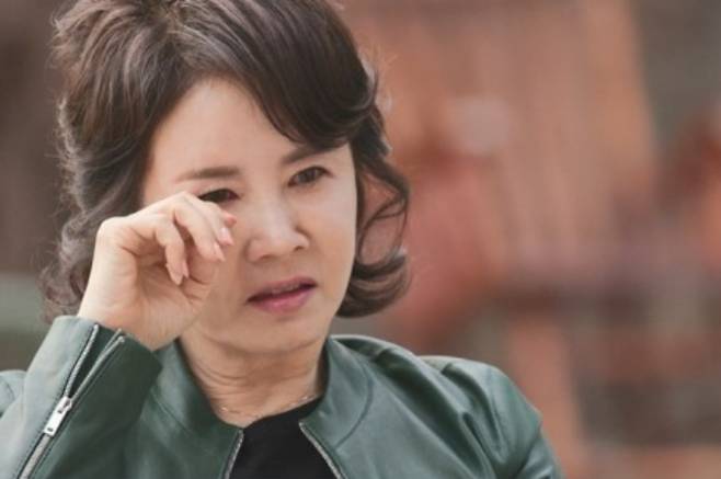 /사진=MBN '속풀이쇼 동치미'