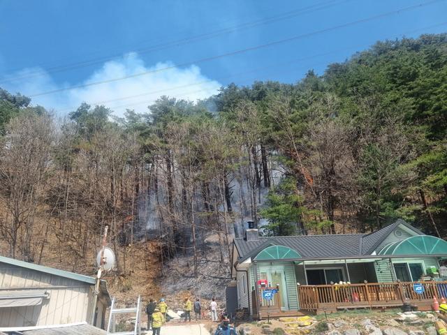 7일 오전 11시45분쯤 강원도 동해시 신흥동에서 산불이 나 1시간 30분만에 진화됐다. 산림청 제공