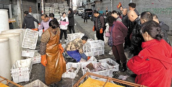 중국서 팔리고 있는 北 수산물 - 한국 식탁에 오른 바지락, 오징어 등 일부 중국산 수산물은 중국 가공 회사들이 북한 노동자 최소 수백 명을 고용해 수출한 것으로 나타났다. 사진은 지난해 4월 중국 랴오닝성 단둥시 둥강의 한 수산물 도매시장에서 북한산 추정 제품을 비롯해 수산물을 판매하는 모습. /단둥=이벌찬 특파원